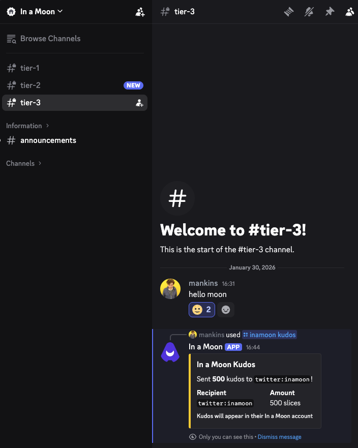 Discord bot preview showing tier-gated channels and kudos commands